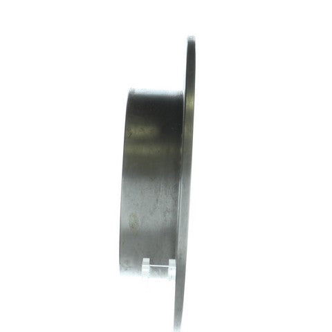 Disc Brake Rotor NRS Brakes BR31036