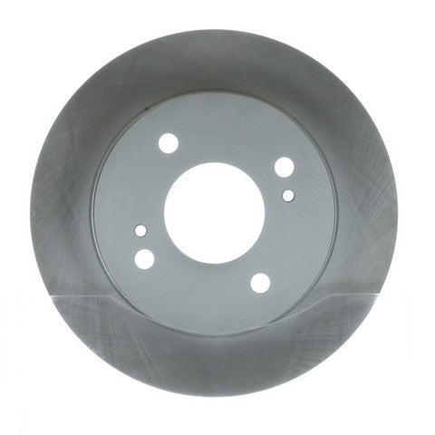 Disc Brake Rotor NRS Brakes BR31063