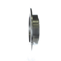Disc Brake Rotor NRS Brakes BR31150