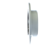 Disc Brake Rotor NRS Brakes BR31253