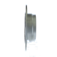 Disc Brake Rotor NRS Brakes BR31302