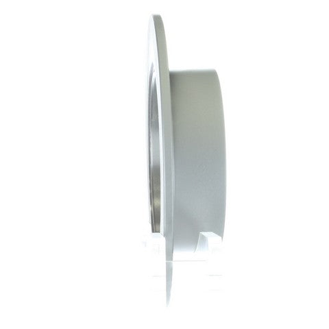 Disc Brake Rotor NRS Brakes BR31312