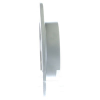 Disc Brake Rotor NRS Brakes BR31315