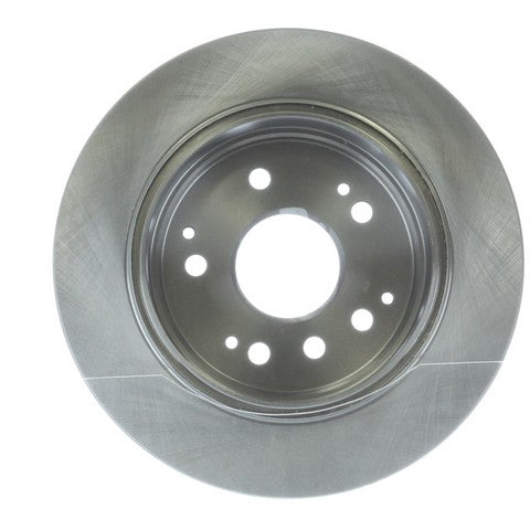 Disc Brake Rotor NRS Brakes BR31316