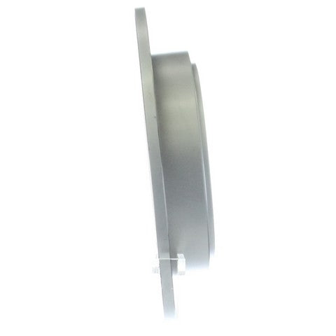 Disc Brake Rotor NRS Brakes BR31318