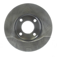 Disc Brake Rotor NRS Brakes BR31319