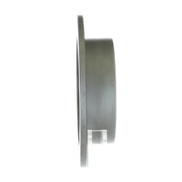 Disc Brake Rotor NRS Brakes BR31360