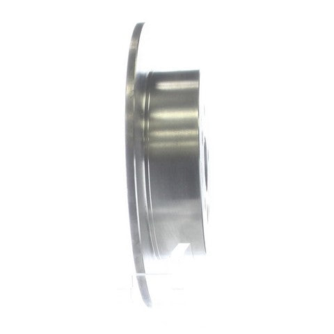 Disc Brake Rotor NRS Brakes BR31361