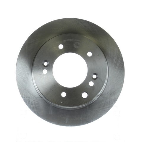 Disc Brake Rotor NRS Brakes BR31385