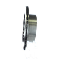 Disc Brake Rotor NRS Brakes BR31495