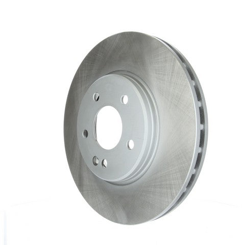 Disc Brake Rotor NRS Brakes BR34101