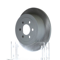 Disc Brake Rotor NRS Brakes BR53013