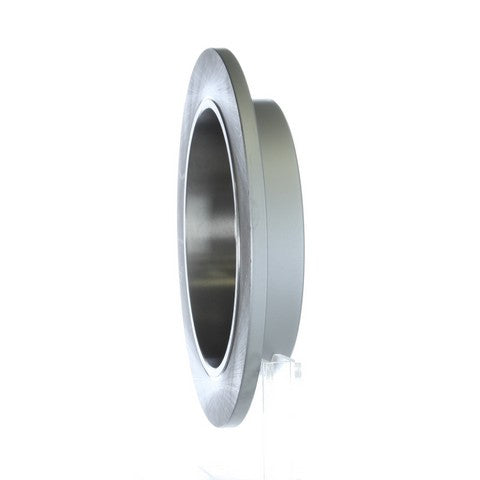 Disc Brake Rotor NRS Brakes BR54047