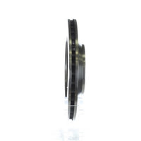 Disc Brake Rotor NRS Brakes BR55010